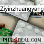 Ziyinzhuangyang 17